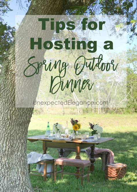 It’s spring and time to get back outside! Invite some friends over and host a spring outdoor dinner in the backyard with these great tips. #springdecor #dinnerparty #outdoorentertaining Eclectic Diy, Outdoor Hosting, Hosting Ideas, Holiday Diy Projects, Dinner Party Decorations, Outdoor Dinner Parties, Spring Dinner, Thrifty Thursday, Farm Living