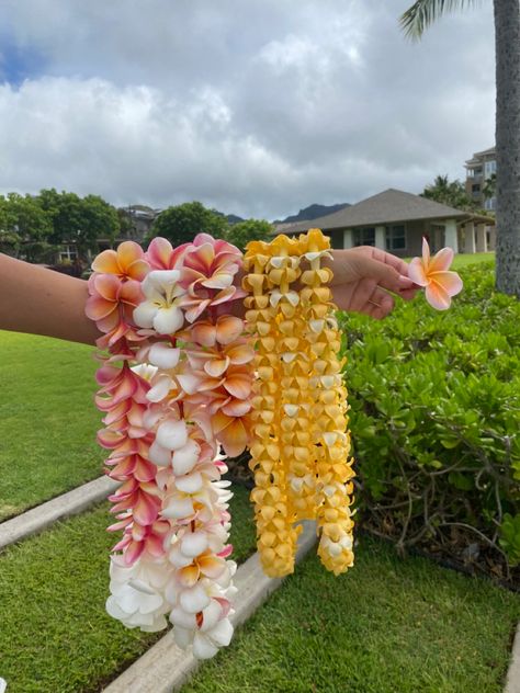 Hawaiian Astethic, Hawaii Pfp, Samoa Aesthetic, Polynesian Aesthetic, Senior Basket, Pua Flower, Hawaiian Flower Arrangements, Lei Hawaii, Hawaiian Aesthetic