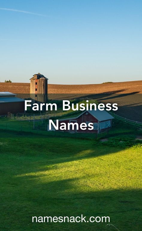 Country Business Names, Farm Names Unique, Farm Business Ideas, Ranch Names Ideas, Farm Names Ideas, Farm Name Generator, Farm Names, Architecture Names, Ranch Names