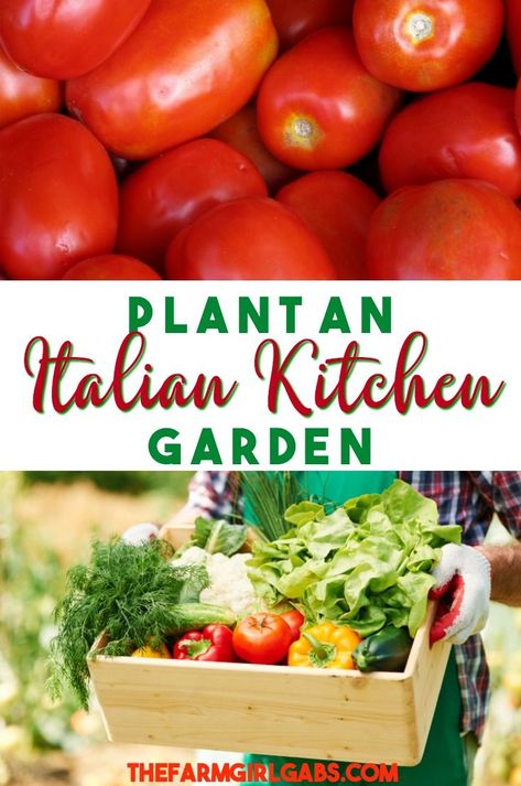 From spaghetti sauce to your favorite pizza toppings, an Italian Kitchen Garden has all the produce and herbs to create an Italian feast! #garden #vegetables #vegetablegardening #gardeningtips #gardening Italian Feast, Italy Villa, Italian Vegetables, Garden Vegetables, Italian Garden, Tomato Garden, Mediterranean Garden, Italian Kitchen, Garden Photography