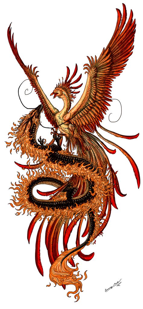 Phoenix and dragon by Sunimo.deviantart.com Dragon Phoenix Tattoo, Phoenix Tattoo Meaning, Tato Phoenix, Phoenix Drawing, Phoenix Artwork, Phoenix Dragon, Phönix Tattoo, Chinese Dragon Tattoos, Phoenix Tattoo Design