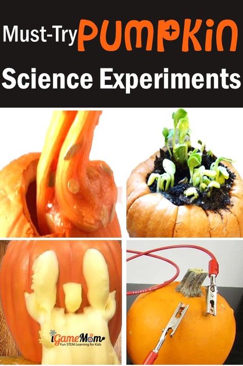 Pumpkin science experiments in the fall for kids learn chemistry, circuit, plant life cycle, physics, scientific recording and science journal. Easy STEM activities for science class, homeschool, science camp. Pumpkin Experiments For Kindergarten, Pumpkin Science Experiments Preschool, Pumpkin Experiments, Pumpkin Experiments For Kids, Pumpkin Stem Activities, Pumpkin Science Preschool, Pumpkin Jack Science Experiment, Candy Pumpkin Science Experiment, Pumpkin Science 1st Grade