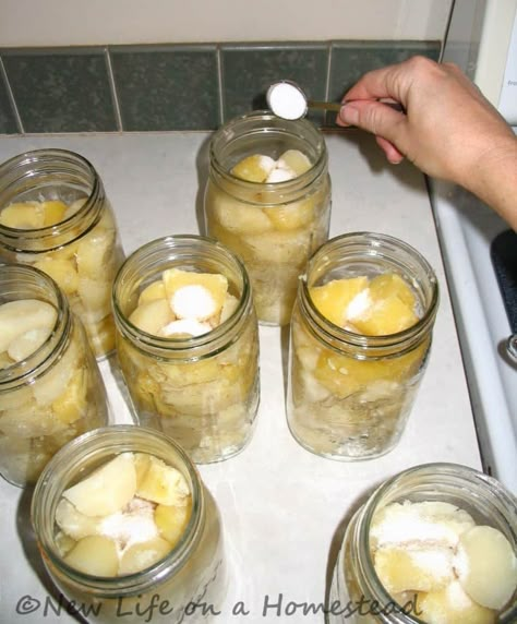 Can Potatoes Recipes, Canning Cabbage, Can Potatoes, Canes Food, Canning Potatoes, Hot Water Bath Canning, Water Bath Canning Recipes, Canning Salt, Homestead Blog