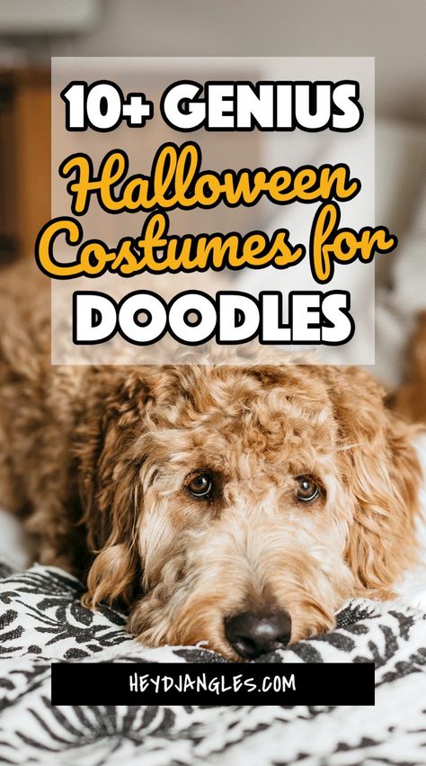 10+ Genius Halloween Costumes for Goldendoodles - Hey, Djangles. Goldendoodle Halloween Costume, Genius Halloween Costumes, Goldendoodle Halloween, Dog Costumes For Kids, Diy Pet Costumes, Ewok Costume, Best Dog Halloween Costumes, Puppy Halloween Costumes, Best Dog Costumes