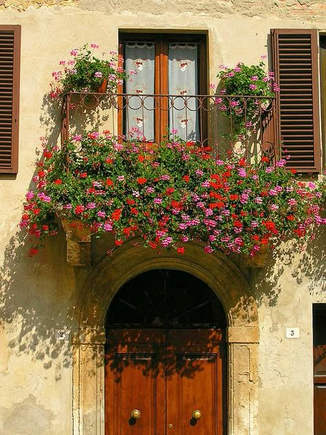 Everyplace in Europe I've seen has these. Love it! Italy Window, Balcony Flowers, Toscana Italia, Under The Tuscan Sun, Beautiful Windows, Doors And Windows, Tuscan Style, Flowers Wallpaper, Window Boxes