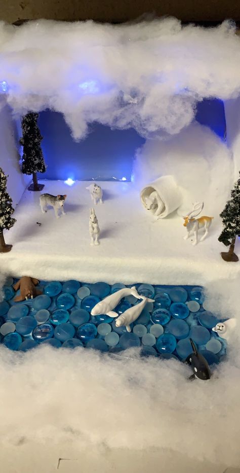 Artic Ecosystem Shoebox Project, Polar Habitat Diorama, Arctic Fox Project, Arctic Tundra Diorama, Polar Bear Diaroma, Tundra Diorama For Kids, Arctic Fox Diorama, Polar Region Project, Polar Habitat Project