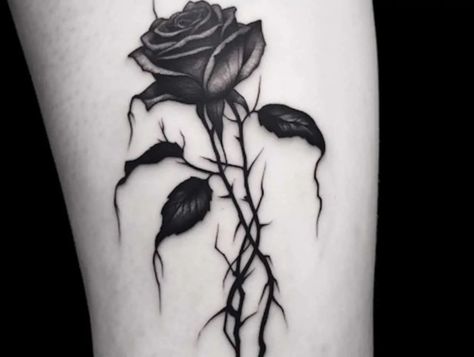 Chain Of Roses Tattoo, Decaying Rose Tattoo, Black Purple Tattoo, Gothic Roses Tattoo, Withering Rose Tattoo, Withered Rose Drawing, Dead Butterfly Tattoo, Wilted Flowers Tattoo, Rose Thorns Tattoo