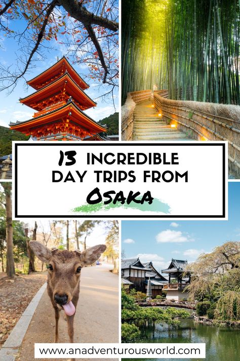 From the trails of the Arashiyama Bamboo Forest to the historic sights of Kyoto, here are the best day trips from Osaka you need to do! #osaka #osakajapan #daytripsfromosaka #daytoursfromosaka #toursfromosaka #placestovisitnearosaka #thingstodonearosaka #wheretogonearosaka #osakaguide #osakaitinerary Osaka 1 Day Itinerary, Osaka Day Trips, Osaka Trip Plan, Where To Stay In Osaka, Day Trips From Osaka, Wakayama Japan, Osaka Itinerary, Day Trips From Tokyo, Japan Itinerary