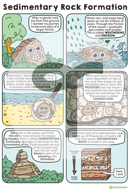 A science teacher must have: A poster explaining the processes that lead to the formation of sedimentary rocks. Science Posters, Rocks Cycle Project, Sedimentary Rock Activities, Sedimentary Rocks Activities, Rock Cycle Diagram, Rock Cycle Project, Rock Cycle Comic Strip, Sedimentary Rock Formation Anchor Chart, Science Chart