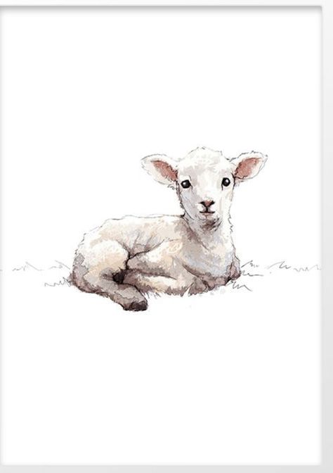 Sheep And Lamb Drawing, Watercolor Lamb Painting, Lamb Drawing Aesthetic, Lamb In Field, Lamb Tattoo Cute, Lamb Face Drawing, Lamb Line Drawing, Lamb Laying Down Drawing, Lamb Lying Down