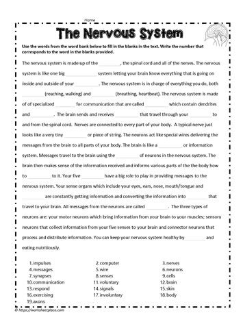 Nervous System Activities Middle School, Nervous System Worksheet, Nervous System Diagram, Cloze Passages, Nervous System Activities, School Presentation, Human Nervous System, Sistem Saraf, Cloze Activity