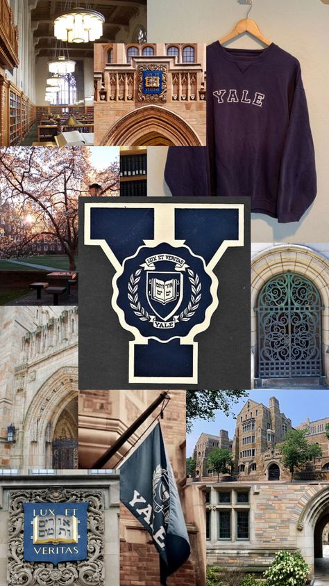 Yale Vision Board, College Board Ideas, Yale College Aesthetic, Yale Wallpaper Aesthetic, Ivy League Aesthetic Wallpaper, Yale University Wallpaper, Yale University Aesthetic Wallpaper, Harvard University Aesthetic Wallpaper, Ivy League Wallpaper