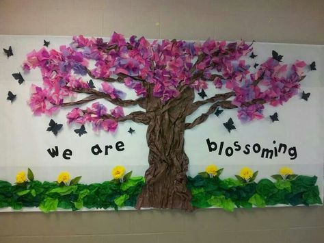 My class bulletin. I use tissue paper for this cherry blossom tree Blossom Tree Display, Cherry Blossom Door Decoration, Spring Tree Bulletin Board Ideas, Bulletin Board Tree Ideas, The Giving Tree Bulletin Board, Tree For Bulletin Board, Cherry Blossom Bulletin Board, Tree Bulletin Board Ideas, Tissue Paper Tree