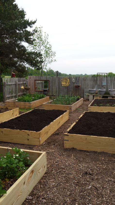 My new garden raised beds I built this last spring. 2 were completed last Oct 2013 and the other 5 were finished in the spring. Raised Garden Bed Aesthetic, Raised Flower Bed Ideas Plants, Timber Raised Garden Bed, Veggie Garden Design, Veggie Garden Layout, Vegetable Garden Beds, Allotment Gardening, Seaside Garden, Vegetable Garden Raised Beds