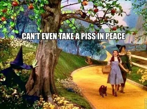 Can't even take a piss in peace. Wizard of Oz meme Wizard Of Oz Memes, Funny Halloween Pictures, Wizard Of Oz 1939, The Wonderful Wizard Of Oz, The Wizard Of Oz, The Wizard, Picture Captions, Halloween Pictures, Apple Tree