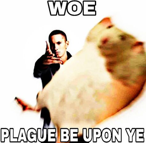 Plague Be Upon Ye (Eminem) | Woe, Plague Be Upon Ye | Know Your Meme Discord Gc Names, Response Images, Rattus Rattus, Dark Funny, Timmy Turner, Goofy Pictures, Silly Images, Very Funny Pictures, Silly Pictures