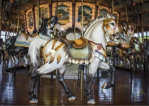 Merry Go Round Carousel, Painted Pony, Toy Horse, Merry Go Round, Carousel Horses, Cairns, Rocking Horse, Horse Art, Amusement Park