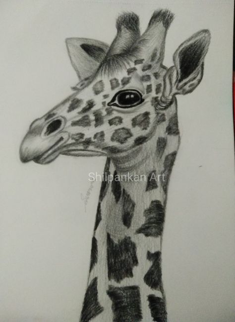 Pencil shading Pencil Shading Animals Easy, Animal Pencil Shading, Pencil Shading Animals, Easy Shading Drawing For Kids, Pencil Shading For Kids, Shading Drawing, Architecture Drawing Plan, Children Sketch, Pencil Shading