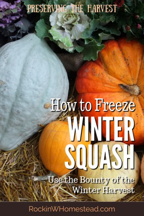 Freezing Winter Squash, Freeze Acorn Squash, How To Freeze Acorn Squash, Freezing Butternut Squash Cubes, Freeze Squash, Freeze Squash How To, Freezing Pumpkin, Freezing Squash, Canned Squash