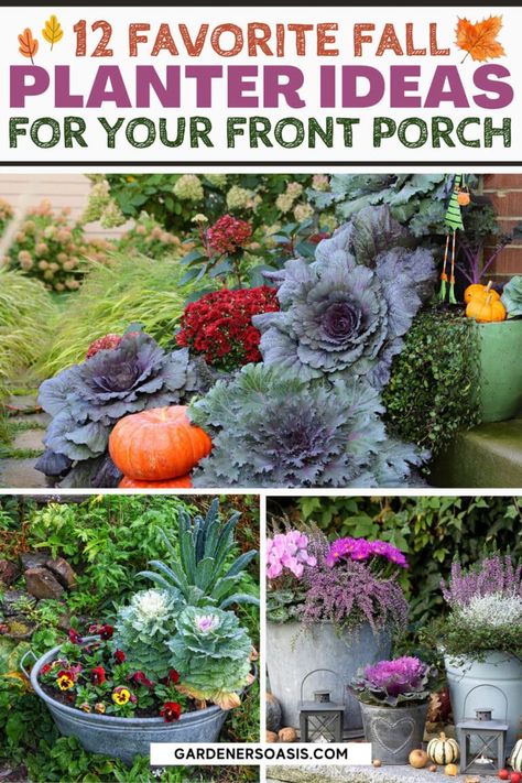 12 Front Porch Fall Planter Ideas | Container Gardening Fall Planter Ideas, Fall Potted Plants, Shade Plants Container, Full Sun Container Plants, Fall Container Plants, Plant Decor Ideas, Fall Pots, Potted Mums, Mums In Pumpkins