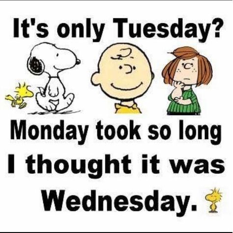 It’s only #Tuesday ? Good Morning Snoopy Tuesday, Happy Tuesday Pictures, Tuesday Greetings, Its Only Tuesday, Good Morning Snoopy, Tuesday Quotes, Tuesday Humor, Snoopy Funny, Snoopy Images