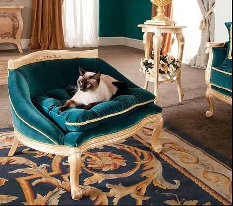 Pet Furniture Dog, Luxury Cat, Dog Bed Furniture, Pet Sofa, Luxury Pet, Dog Furniture, Cat Room, Dog Houses, Cat Furniture