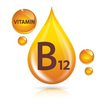 Vitamin B2 Foods, Pharmacy Icon, Medicine Background, B2 Vitamin, Shield Vector, Health Medicine, Vitamin B2, Medical Background, Medical Icon