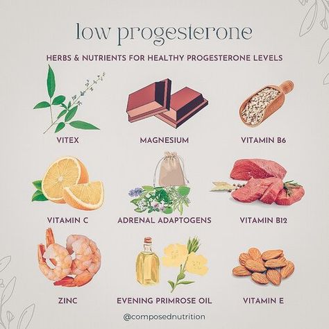 10 Ways to Lower Prolactin Naturally — Composed Nutrition | Hormone, PCOS, Fertility Nutrition | Registered Dietitian Nutritionist Increase Progesterone Naturally, Increase Progesterone, Low Progesterone, Hormone Diet, Fertility Nutrition, Healthy Period, Low Estrogen Symptoms, Progesterone Levels, Low Estrogen