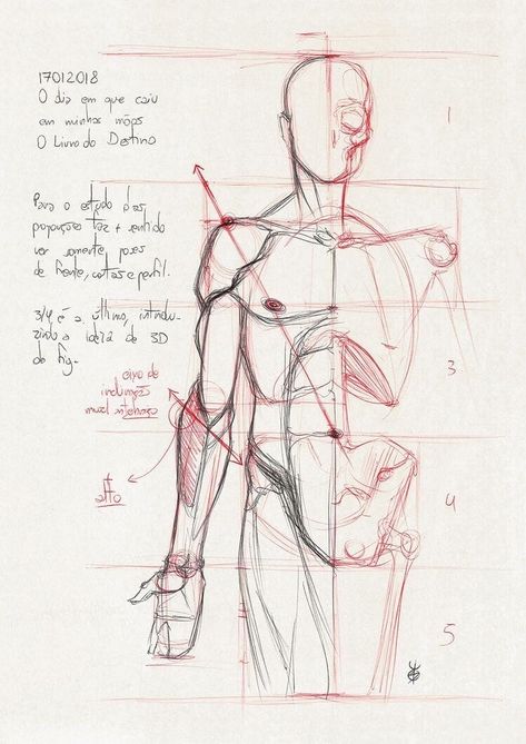 Moment Drawing, Male Sketches, Anatomy Studies, Male Pose, Male Anatomy, Study Art, Male Pose Reference, Anatomy Tutorial, Human Anatomy Drawing