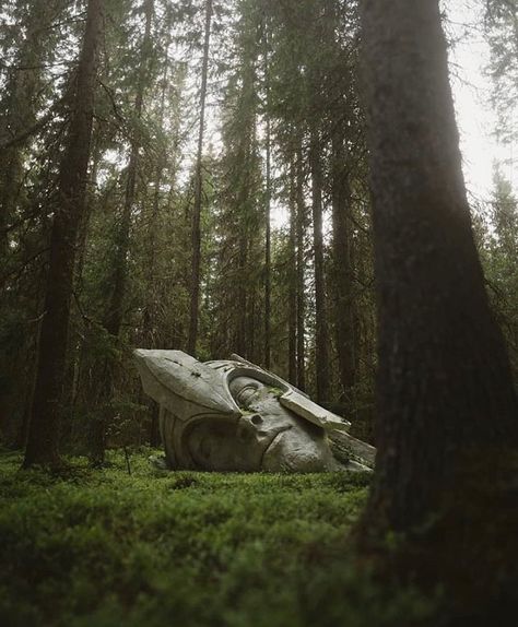 we'll all meet tolkien one day on Instagram: “Imagine walking through a forest and you suddenly saw this🤩 Your reaction? ph by lovely @william_faucher  #lotr #lordoftherings  #tolkien…” Into The West, Between Two Worlds, The Shire, Fellowship Of The Ring, Earth Elements, Fantasy Story, Jrr Tolkien, Fictional World, Legolas