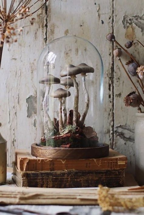 Halloween Cloche, Cloche Decor, Mushroom Crafts, Mushroom Lights, Easy Halloween Decorations, Funky Junk Interiors, Decorating Home, Fairy Crafts, Home Decor Ideas Living Room