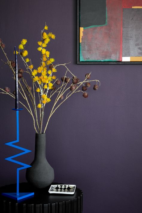 Colors that go with purple | Livingetc Dark Purple Paint, Rococo Interior, Royal Purple Color, Purple Color Schemes, Interior Shop, Paint Inspiration, Purple Interior, Earth Pigments, Purple Paint