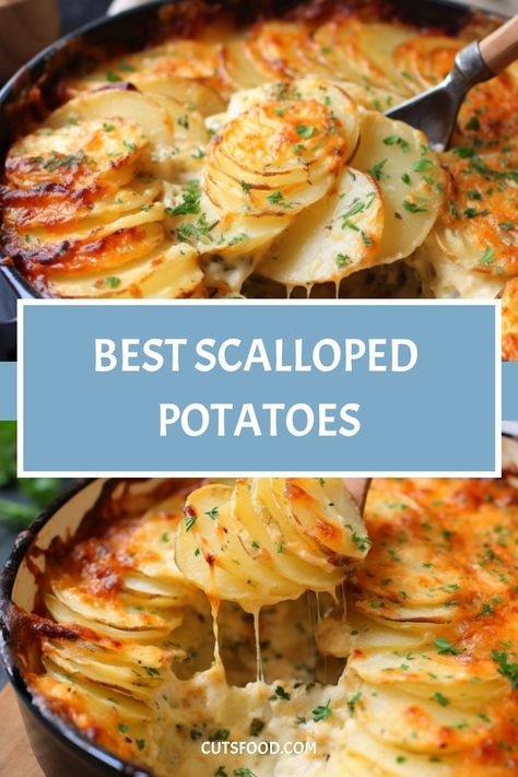 Best Scalloped Potatoes Best Scalloped Potatoes, Creamy Scalloped Potatoes, Potatoe Recipes, Dinner Party Dishes, Layered Potato, Scalloped Potato Recipes, Potato Recipes Side Dishes, Scallop Recipes, Roast Chicken Recipes