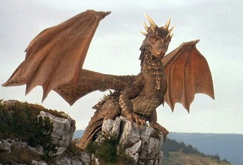 Draco voiced by Sean Connery in the film Dragonheart. Dragon Poses, Dragon Riders, Dragon Movies, Dragon Heart, Dragon Tattoos, Dragon's Lair, Giant Monsters, Story Starters, One Ok Rock