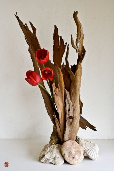 Could use branches. Like the look with use of shells at base. Would work with other flowers. Japanese Flower Arrangement, Arreglos Ikebana, Ikebana Sogetsu, Sogetsu Ikebana, Ikebana Flower, Corporate Flowers, Ikebana Arrangements, Floral Art Design, Ikebana Flower Arrangement