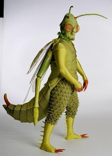 Grasshopper Costume, Chameleon Costume, Insect Costume, Puppet Costume, Bug Costume, Animal Costumes, Theatre Costumes, Fantasy Costumes, Creative Halloween Costumes