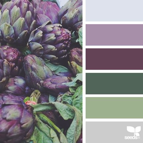 Nature-Inspired Color Palettes AKA Design Seeds For Designers, Crafters And Home Decorators Interior Paint Colors Schemes, Seeds Color, Green Color Palette, Colour Pallets, Color Schemes Colour Palettes, Nature Color Palette, Palette Ideas, Palette Design, Bedroom Color Schemes