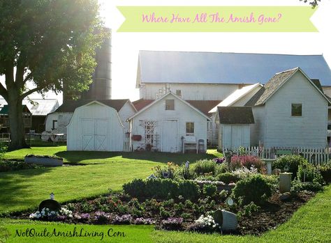 Amish Garden, County Kitchen, Amish Living, Amish Life, Amish Farm, Plain People, Amish Community, Homestead Gardens, Amish Recipes