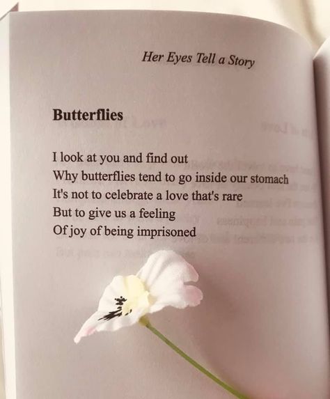 I Have Butterflies In My Stomach, Stories That Give You Butterflies, How To Get Butterflies In Your Stomach, Feeling Butterflies In Stomach, She Gives Me Butterflies, I Feel Butterflies In My Stomach, Stomach Meet Butterflies, When You Miss Her But Cant Tell Her, Getting Butterflies In Your Stomach