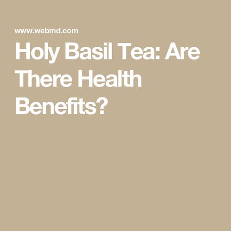 Holy Basil Tea: Are There Health Benefits? Basil Tea Benefits, Tea Benefits Health, Holy Basil Tea, Ocimum Tenuiflorum, Basil Tea, Tea Health Benefits, Aromatic Plant, Holy Basil, Tea Benefits