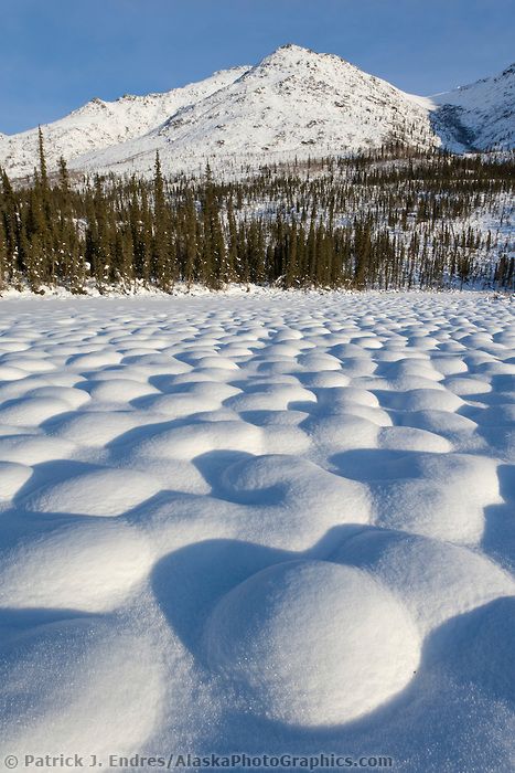 Snow covered tussocks in the tundra landscape north of Coldfoot, Alaska in the Brooks mountain range. Tundra Aesthetic, Tundra Landscape, Snowy Tundra, Biomorphic Architecture, Ice Wolf, Arctic Tundra, Snowy Mountain, Snow Mountain, Winter Scenery