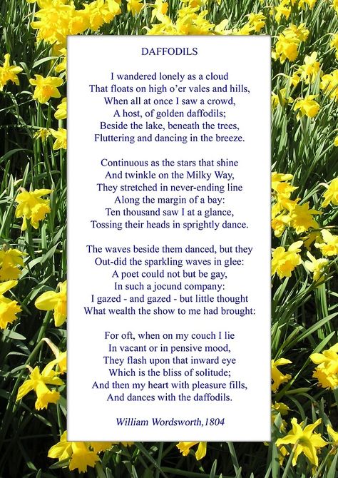 "Wordsworth's "Daffodils", especially good as a card." by Philip Mitchell | Redbubble Daffodils Poem, Flower Poem, William Wordsworth, Daffodil Flower, Flower Quotes, Writing Poetry, English Literature, A Poem, Hardcover Notebook