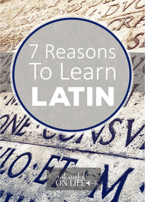 Learning Latin, Learn Latin, Homeschool Foreign Language, Latin Grammar, Teaching Latin, Classical Homeschool, Latin Language, Latin Phrases, Classical Education