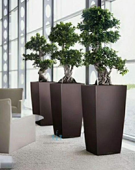 The Modern Black Tapering Cube FRP Planter With Its Handcrafted Smooth Finished Body And Clean Lines Adds A Unique And Minimalistic Touch To Any Spaces. Showcase Your Favorite Plants In Style And Bring A Touch Of Natural Charm To Your Interior. Using Fiberglass Planters In Your Plantscaping Designs Is A Great Way To Enhance The Beauty Of Any Indoor Or Outdoor Landscape. Their Durable, Commercial Grade Construction And Vast Color Choices Make Fiberglass Plant Containers An Interiorscape And Ex... Artificial Plant Arrangements, Plants Tropical, Artificial Plants Indoor, Planting Pots, Mediterranean Plants, Big Plants, Interior Plants, Modern Planters, Self Watering Planter