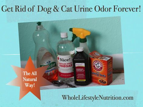 Get Rid of Dog and Cat Urine Odors The All Natural Way! - Whole Lifestyle Nutrition Pet Urine Smell, Cat Urine Remover, Cat Urine Smells, Urine Odor, Urine Smells, Dog Urine, Cat Pee, Cat Urine, Dog Pee