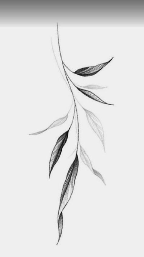 Minimal Leaf Drawing, Tattoo Leaf Designs, Leaf Branch Drawing, Willow Leaves Tattoo, Leaf Branch Tattoo, Leaves Tattoo Design, Leaf Tattoo Design, Blatt Tattoos, Leaves Tattoo