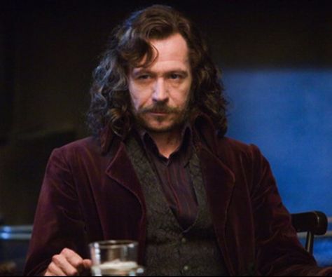 Sirius Black Gary Oldman, Harry Potter Life, Serious Black, Harry Potter Icons, Images Harry Potter, Gary Oldman, Harry Potter Film, Harry Potter Series, Harry Potter Movies