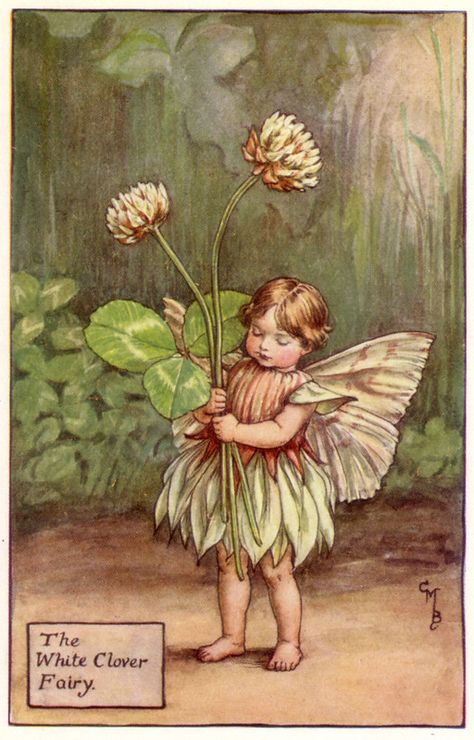 Mary Barker Fairies, Clover Fairy, Fairy Prints, The Flower Fairies, Flower Fairies Books, White Clover, Fairy Vintage, Fairy Paintings, Cicely Mary Barker