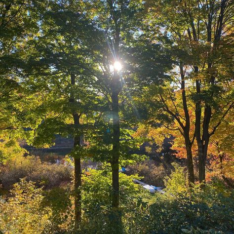 Vibrant colors of autumn complementing the richness of these moments. Reds, oranges and yellows lighting up our world, leaves falling and beckoning us to let go of what once was as we watch the warmth of summer drop in golden wonder and sprinkle the ground we walk on. It reminds me of a quote from one of my fav poems, it’s “a deciduous reminder to let it go.” 🍂 Thankful for these memories. There’s a lot of life lived between these squares, just a reminder to check on your people, love them w... What Once Was, Leaves Falling, Colors Of Autumn, Just A Reminder, Let It Go, We Watch, Drop In, Let Go, Our World