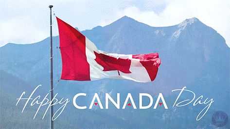 Canada Gif, Holiday Gif, Toronto Travel, Happy Canada Day, July 1st, North And South America, True North, Canada Day, Seasons Of The Year